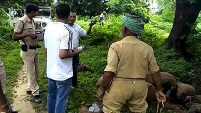 मधुबनी : तालाब से भारी मात्रा में बरामद हुई शराब की बोलतें, पुलिस भी रह गई दंग 3
