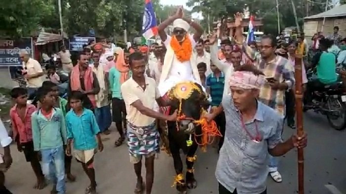 भैंस की सवारी कर फंस गए नेता जी, आचार संहिता उल्लंघन मामले में हो गया एफआईआर 6