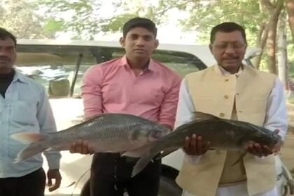 हाथों में तेजस्वी की फोटो और मछली लेकर सड़कों पर उतरे RJD कार्यकर्ता, मना रहे जश्न 3