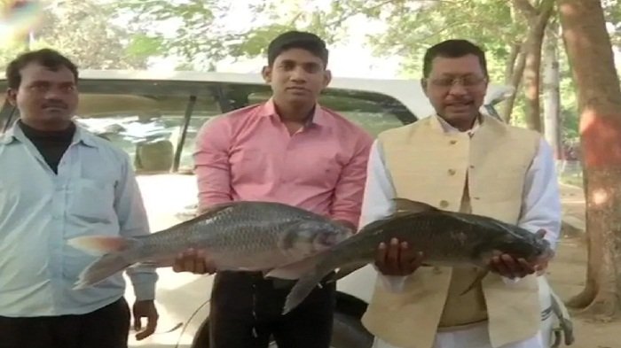 हाथों में तेजस्वी की फोटो और मछली लेकर सड़कों पर उतरे RJD कार्यकर्ता, मना रहे जश्न 1