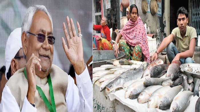 Nitish सरकार अब मछली पालन के लिए दे रही है अनुदान, जानें कैसे करें आवेदन 1