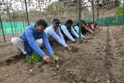 6 दिवसीय मल्टीलेयर कृषि कार्यशाला संपन्न 7