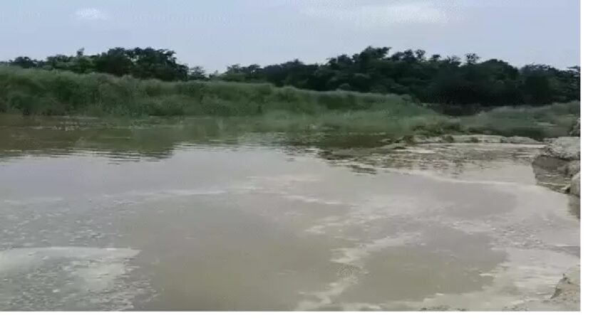 बाढ़ प्रभावित क्षेत्र में डेंगू से बचाव को लेकर तैयारी मुजफ्फरपुर में स्वास्थ्य विभाग की टीम तैनात 1
