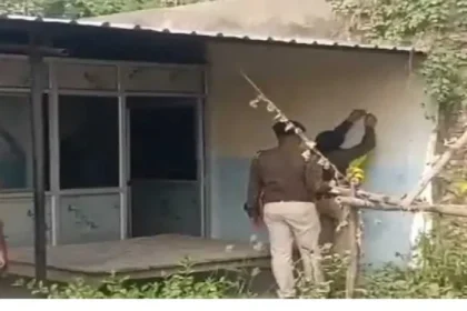15 से अधिक अपराधियों ने गोदाम से 25 लाख के लहसुन और आटे लूट लिए 3
