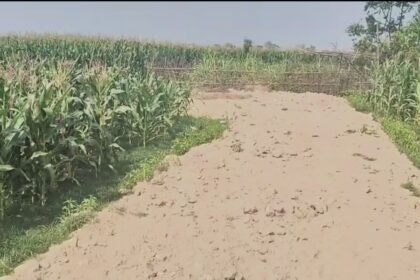 मनरेगा में मजदूरो की हक मारी, योजना में चल रहा खेल जांच का विषय मनरेगा कार्यक्रम पदाधिकारी को इस खेल की जानकारी नहीं 3