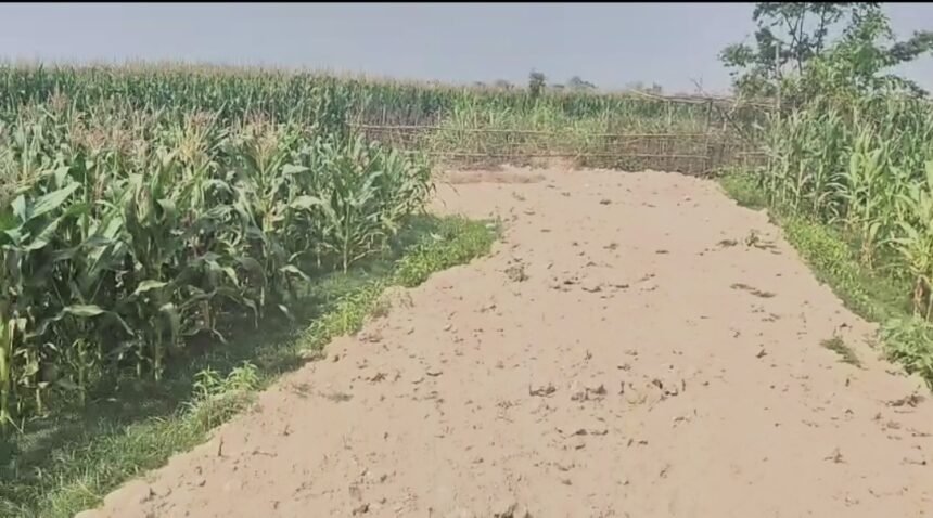 मनरेगा में मजदूरो की हक मारी, योजना में चल रहा खेल जांच का विषय मनरेगा कार्यक्रम पदाधिकारी को इस खेल की जानकारी नहीं 1