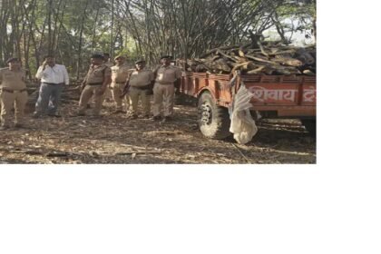 मोतिहारी में 85 क्विंटल प्रतिबंधित लकड़ी जब्त पुलिस की छापेमारी में तस्करी का भंडाफोड़ 3