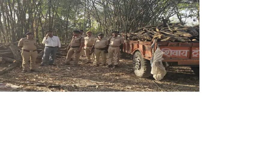 मोतिहारी में 85 क्विंटल प्रतिबंधित लकड़ी जब्त पुलिस की छापेमारी में तस्करी का भंडाफोड़ 1