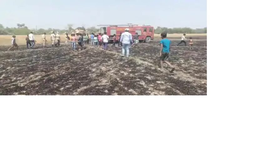 15 लाख रुपये मूल्य की गेहूं की फसल बर्बाद, 12 जगह लगी आग सिगरेट और शॉर्ट सर्किट की वजह से आग लगने की संभावना 1