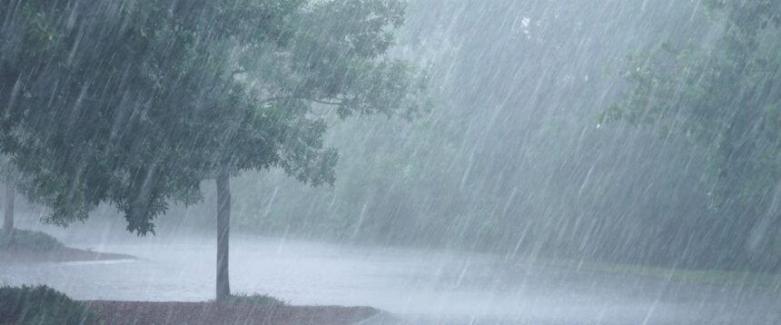 weather