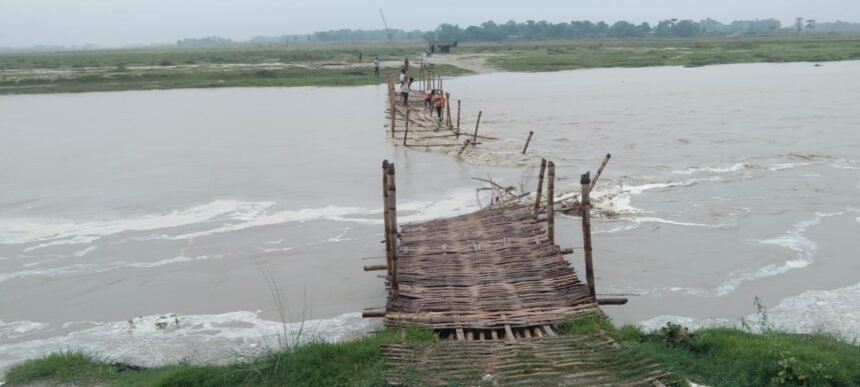 बहादुरगंज विधानसभा क्षेत्र की लाइफ लाइन कोमा में टेढ़ागाछ की बदहाल सड़कें चुनाव से पहले खोल रही जनप्रतिनिधियों की पोल 1