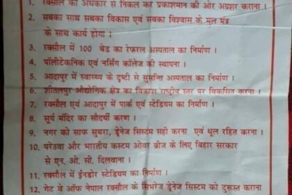 वादों के पोस्टर धरे रह गए, हल्की बारिश में ही बह गया 'विकास' चुनाव से पहले पंपलेट में वादों की भरमार, बाद में सब नकार 5