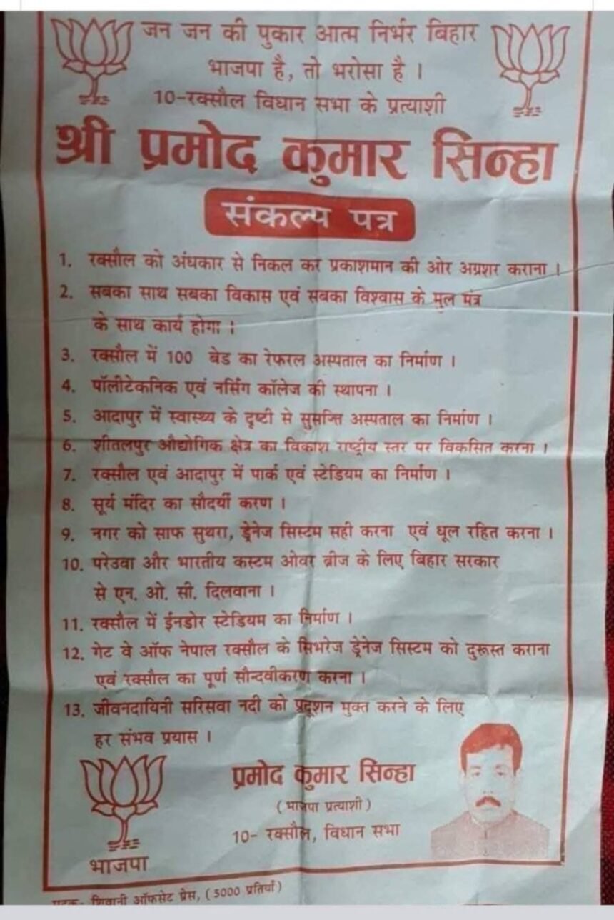 वादों के पोस्टर धरे रह गए, हल्की बारिश में ही बह गया 'विकास' चुनाव से पहले पंपलेट में वादों की भरमार, बाद में सब नकार 1