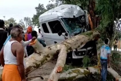 गिट्टी लदे ट्रक की टक्कर से टूटकर गिरा पेड़ 5