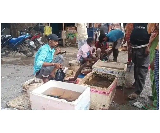 भागलपुर में 15 अगस्त तक मछली पकड़ने पर पाबंदी रोक के बावजूद मछली पकड़ी तो 6 महीने की होगी सजा 1