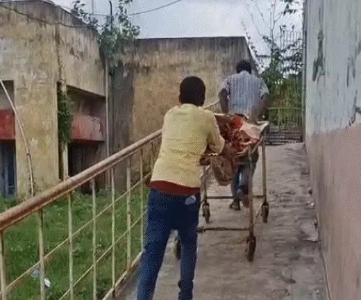 लीची बगान में पेड़ से लटका मिला युवक का शव गुस्साए ग्रामीणों ने किया हंगामा, कहा- पीट कर मर्डर के बाद लटकाया गया लाश को 1