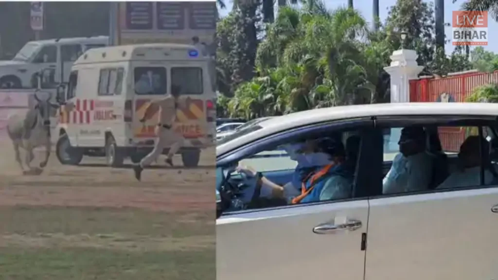 CM Nitish Kumar Security Lapse: बेगूसराय में हेलीपैड के पास आवारा सांड घुसा, पुलिसकर्मियों में मची अफरातफरी 2 CM Nitish Kumar Security Lapse: बेगूसराय में हेलीपैड के पास आवारा सांड घुसा, पुलिसकर्मियों में मची अफरातफरी 1